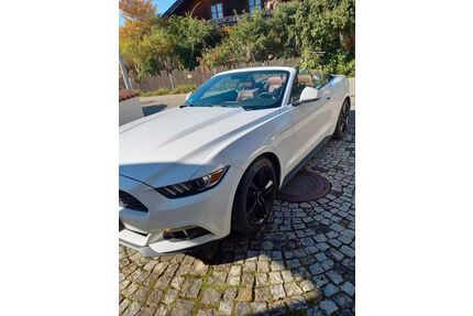 Ford Mustang Gebrauchtwagen