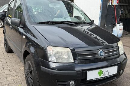 Fiat Panda Gebrauchtwagen