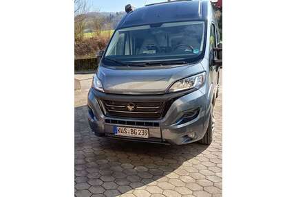 Fiat Ducato Gebrauchtwagen