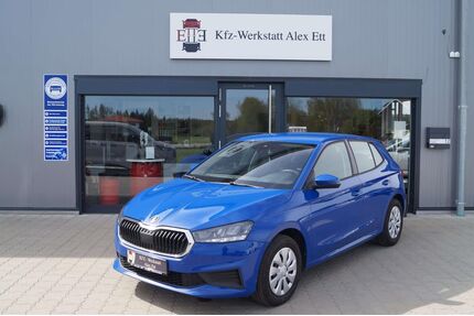 Skoda Fabia Gebrauchtwagen