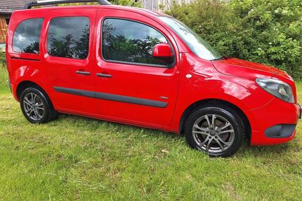 Mercedes-Benz Citan Gebrauchtwagen