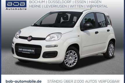 Fiat New Panda Gebrauchtwagen