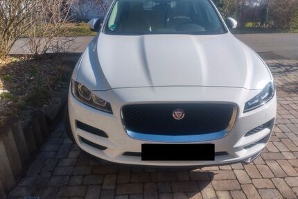 Jaguar F-Pace Gebrauchtwagen