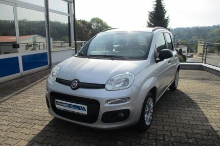 Fiat Panda Gebrauchtwagen
