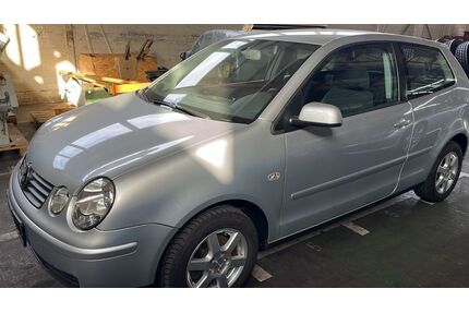 VW Polo Gebrauchtwagen