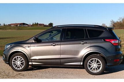 Ford Kuga Gebrauchtwagen