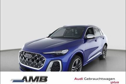 Audi SQ5 Gebrauchtwagen
