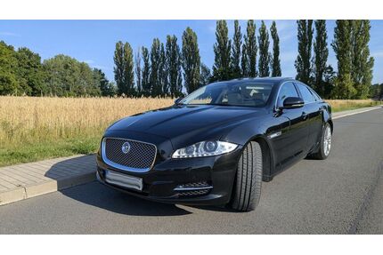 Jaguar XJ Gebrauchtwagen