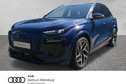 Audi Q6 e-tron Gebrauchtwagen