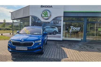 Skoda Karoq Gebrauchtwagen
