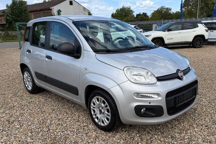 Fiat New Panda Gebrauchtwagen