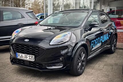 Ford Puma Gebrauchtwagen