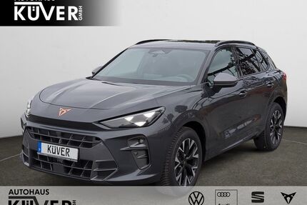 Cupra Terramar Gebrauchtwagen