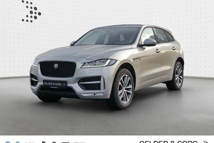 Jaguar F-Pace Gebrauchtwagen