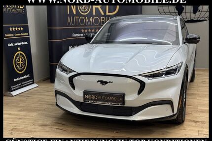 Ford Mustang Mach-E Gebrauchtwagen