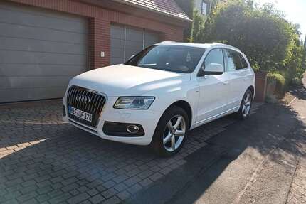 Audi Q5 Gebrauchtwagen