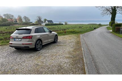 Audi SQ5 Gebrauchtwagen