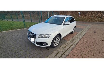 Audi Q5 Gebrauchtwagen