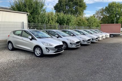 Ford Fiesta Gebrauchtwagen