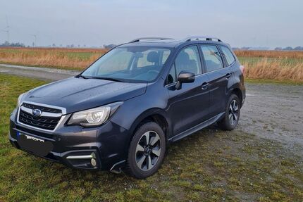 Subaru Forester Gebrauchtwagen