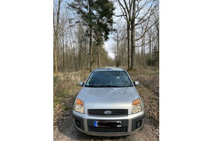 Ford Fusion Gebrauchtwagen