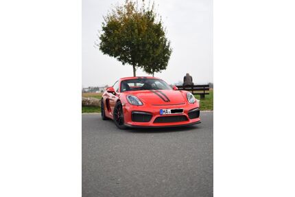Porsche Cayman Gebrauchtwagen