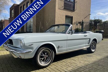 Ford Mustang Gebrauchtwagen