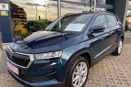 Skoda Karoq Gebrauchtwagen