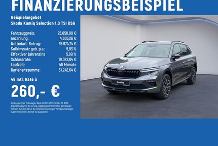 Skoda Kamiq Gebrauchtwagen