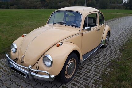 VW Käfer Gebrauchtwagen