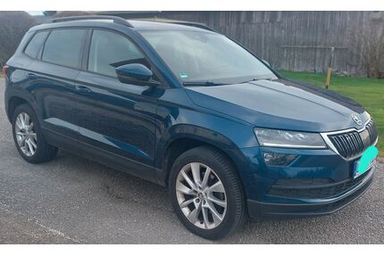 Skoda Karoq Gebrauchtwagen