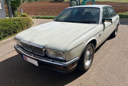 Jaguar Daimler Gebrauchtwagen