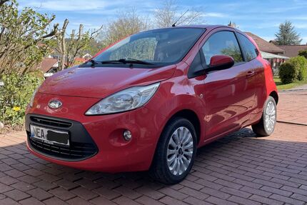 Ford Ka/Ka+ Gebrauchtwagen