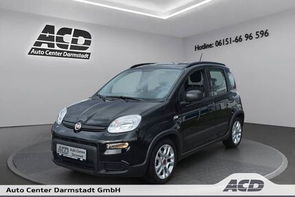 Fiat Panda Gebrauchtwagen