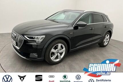 Audi e-tron Gebrauchtwagen