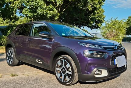 Citroen C4 Cactus Gebrauchtwagen
