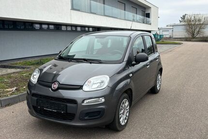 Fiat Panda Gebrauchtwagen