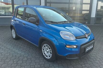 Fiat Panda Gebrauchtwagen