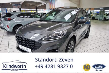 Ford Kuga Gebrauchtwagen