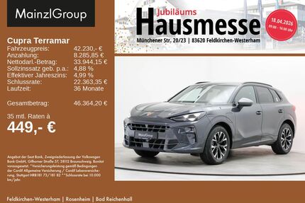 Cupra Terramar Gebrauchtwagen