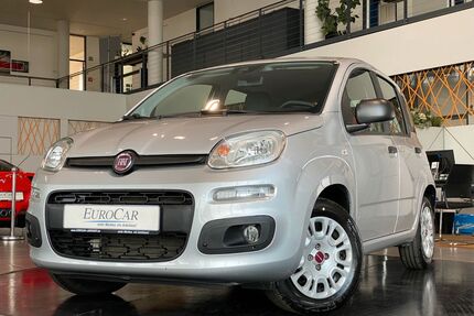 Fiat Panda Gebrauchtwagen