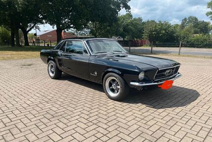 Ford Mustang Gebrauchtwagen