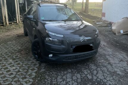 Citroen C4 Cactus Gebrauchtwagen
