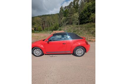 VW New Beetle Gebrauchtwagen
