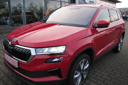 Skoda Karoq Gebrauchtwagen