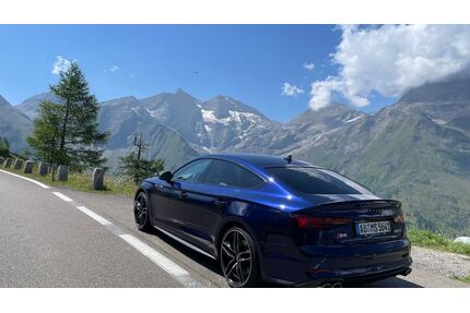Audi S5 Gebrauchtwagen