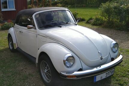 VW Käfer Gebrauchtwagen