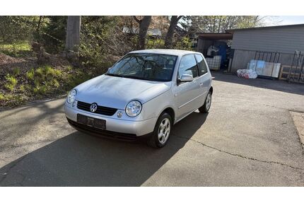 VW Lupo Gebrauchtwagen