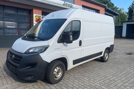 Fiat Ducato Gebrauchtwagen