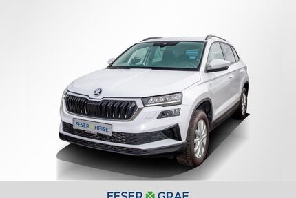 Skoda Karoq Gebrauchtwagen